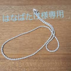 シルバーチェーンのサムネイル