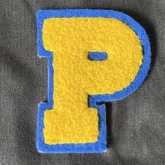 【P】アルファベット サガラ刺繍 縦6.5cm ワッペン 他色あり まとめ割引⭕️のサムネイル