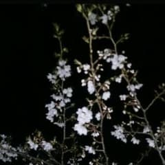 Nakatani Keiraさん専用のサムネイル