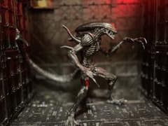 チュパカブラ：リアル フィギュア Chupacabra 造形 レッズ REDS | Shop