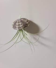 おさるのジェイ様専用のサムネイル