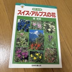 スイス・アルプスの花のサムネイル
