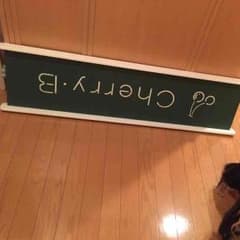 ペット スロープのサムネイル