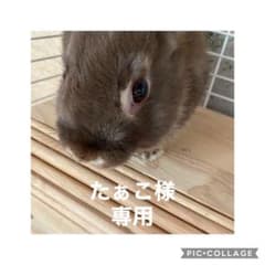 バネ口ポーチのサムネイル