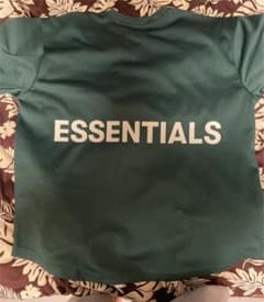 FOG ESSENTIALS バックロゴVネックメッシュTシャツ　グリーンのサムネイル