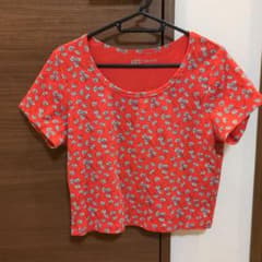 UT PAUL & JOE 花柄プリント クロップド丈Tシャツのサムネイル