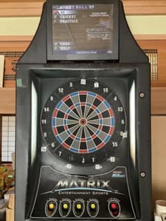 チンタ　MATRIX unicorn製　ダーツ本体 チンタ様専用 MATRIX unicorn製 ダーツ本体 - メルカリ