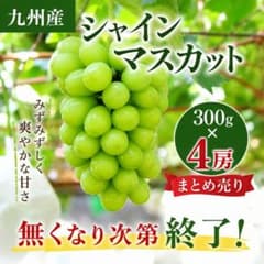 【九州産】シャインマスカット　4房まとめ売りのサムネイル
