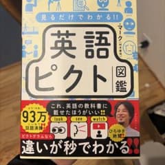 見るだけでわかる!! 英語ピクト図鑑のサムネイル