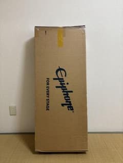 Epiphone Back to the Future ES-345 段ボールのサムネイル