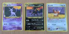 エーフィブラッキー イーブイ PROMOプレミアムファイル2 第2世代☆neo