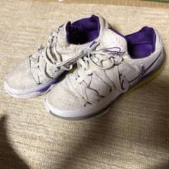 NIKE ナイキ レブロン　バッシュのサムネイル