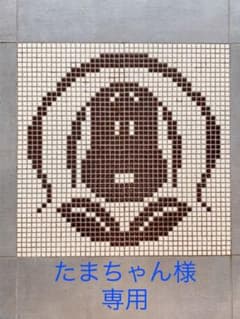 たまちゃん様専用のサムネイル