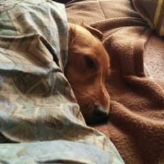さっちゃん様専用ページのサムネイル