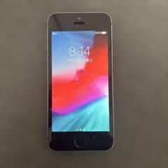 Apple iPhone 5 스페이스 그레이 본체 캐리어 docomo