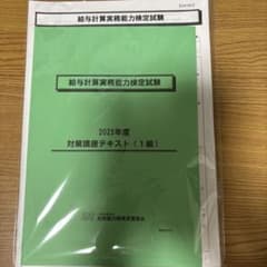 給与計算実務能力検定試験2025年度1級対策講座テキスト資料一式セットDVDなしのサムネイル