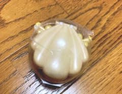 ぴちぴちピッチ アクセサリーケース ココのサムネイル