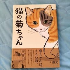 【即購入OK】猫の菊ちゃん　1巻のサムネイル