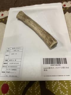 鹿の角　　犬　おもちゃ　ガムのサムネイル