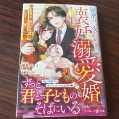 懐妊源愛婚 伊月ジュイ マーマレード文庫のサムネイル