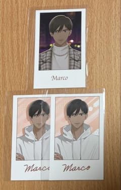星色ステディ マルコのサムネイル