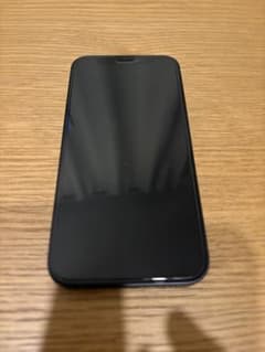 [정크 품 상당] iPhone 12 mini 블랙 128 GB