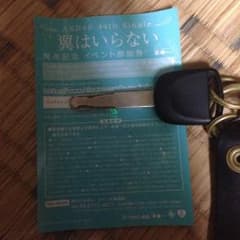 sharp様専用 AKB48翼はいらないイベント参加券のサムネイル