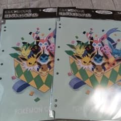 未開封】 ポケモンカード イーブイ大集合 コレクションファイル