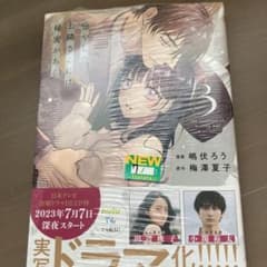 癒やしのお隣さんには秘密がある 3巻のサムネイル