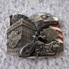 Harley-Davidson Freedom Protectorのサムネイル