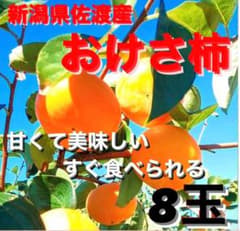 新潟県佐渡 羽茂産 おけさ柿 8玉のサムネイル