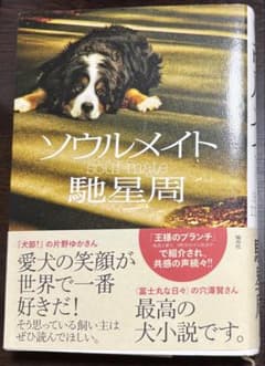 ソウルメイトのサムネイル
