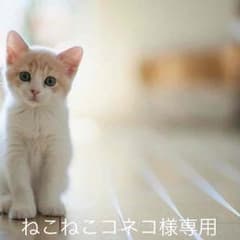 ねこねこコネコ様専用✩のサムネイル