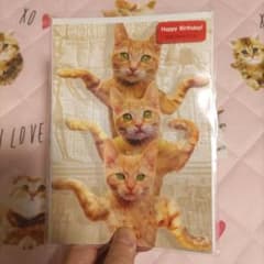 お値下げ レトロ 3匹の猫さんのポーズがかわいい バースデーカード(未使用)のサムネイル