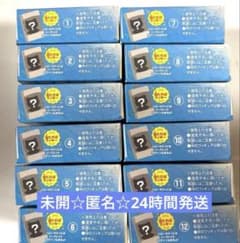 未開封☆サンリオチョコボックス2026　 全12種コンプリートセット