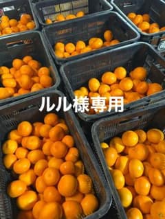 ルル様専用のサムネイル