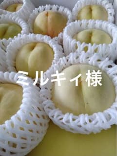 ミルキィ様専用　白皇のサムネイル