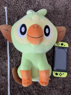 ポケモン　サルノリのサムネイル