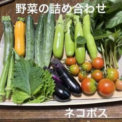 野菜の詰め合わせのサムネイル