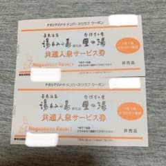 湯あみの島または　なばなの里　里の湯入泉券　2名分のサムネイル