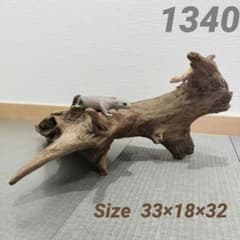 1340】流木 爬虫類シェルター 登り木 テラリウム レイアウト - メルカリ