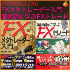 中原駿 豊嶋久道】魔術師に学ぶFXトレード FXメタトレーダー入門