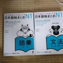 日本語総まとめ N1 文法 語彙 セットのサムネイル
