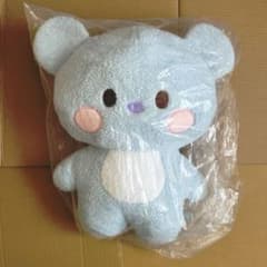 BT21 KOYA 탄톤 L minini 봉제인형 코야 RM 남