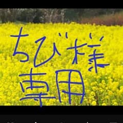 こどものピアノ名曲集１ バイエル(上巻)併用のサムネイル