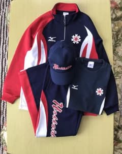 国体 北海道 ジャージ フルセット Mサイズ - メルカリ