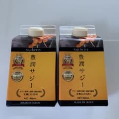 フィネス 黄酸汁 豊潤サジー 300ml オーガニック サジー ビタミンC 1…のサムネイル