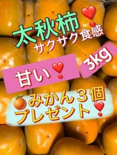 太秋柿 3kg 3000円甘いサクサク食感タネ無し 【みかん３個と柿１個付❣️】のサムネイル
