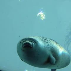 こうたけ様専用のサムネイル