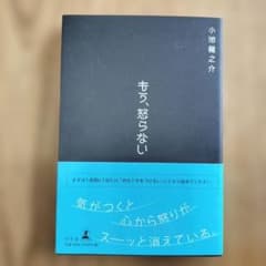 もう、怒らない　 小池龍之介のサムネイル